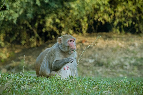 Impact de la Crise Sociale sur l'Écologie : Étude Approfondie et Conséquences à Considérer