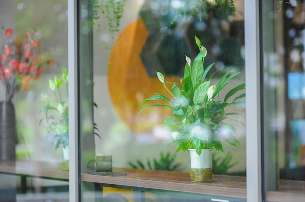 Transition passionnante : Reconversion vers la santé communautaire après une carrière dans le domaine médical